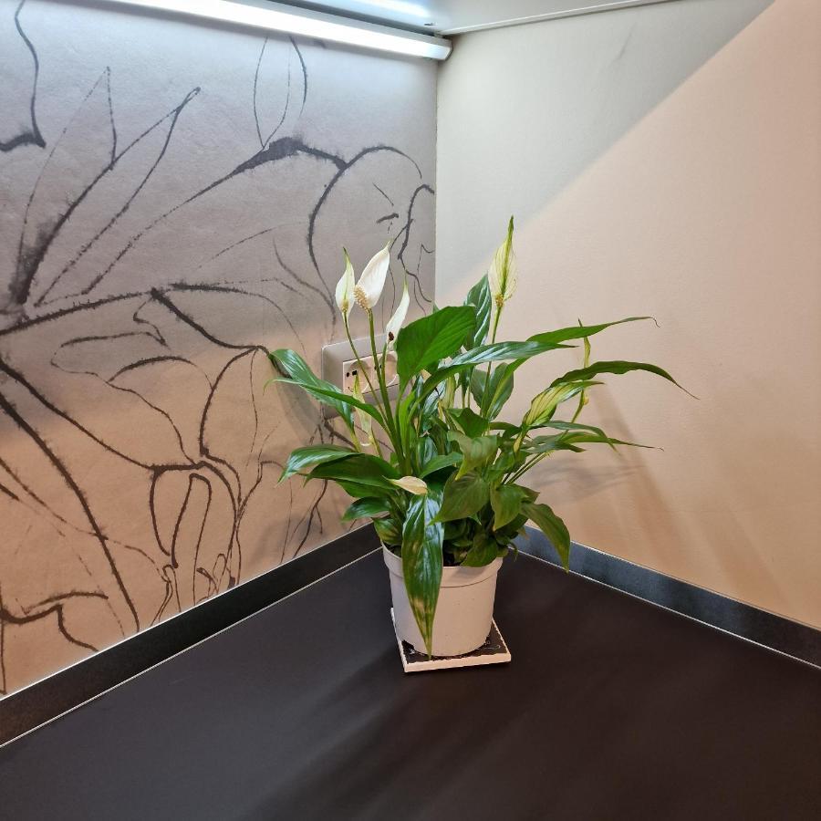 Apartament Corso Vittorio 364 Cagliari Zewnętrze zdjęcie